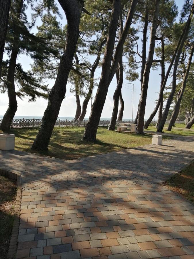 Apartment Vesta Kobuleti ภายนอก รูปภาพ
