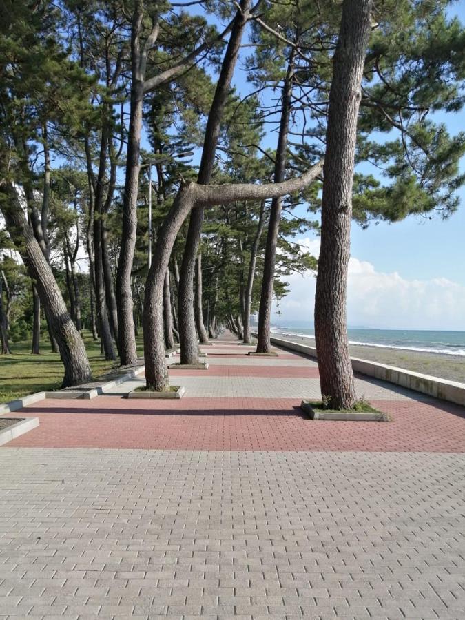 Apartment Vesta Kobuleti ภายนอก รูปภาพ